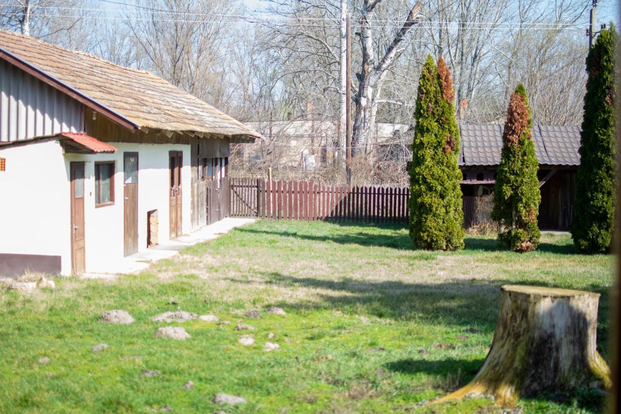 Villa Flora Кишкунмайша Экстерьер фото