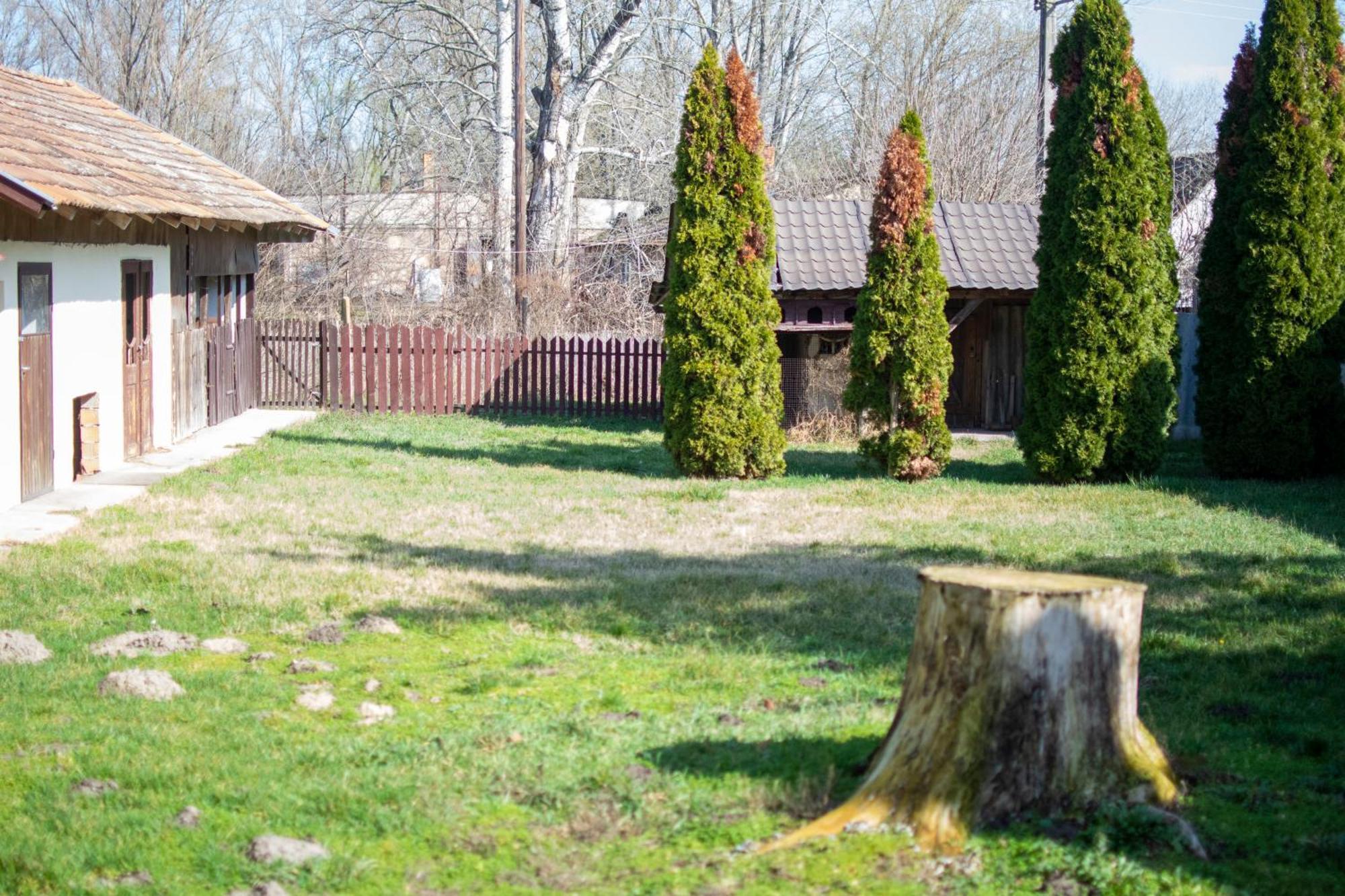 Villa Flora Кишкунмайша Экстерьер фото